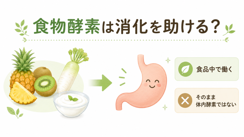 食物酵素と消化の関係を示す図