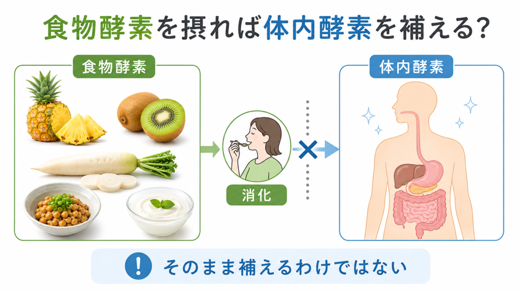 食物酵素を摂ってもそのまま体内酵素として補われないことを示す図