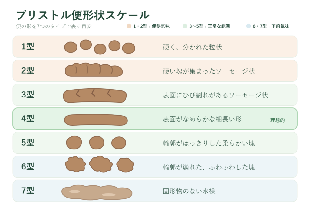 ブリストル便形状スケール。便の形を1型（硬い粒状）から7型（水様）までの7タイプで表したイラスト