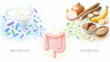 probiotics prebiotics chigai 投稿 酵素のちから