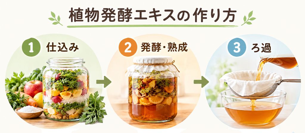 植物発酵エキスとは?酵素ドリンクとの関係と、ラベルで確認したいこと 2 酵素のちから 植物発酵エキスができるまでの流れ