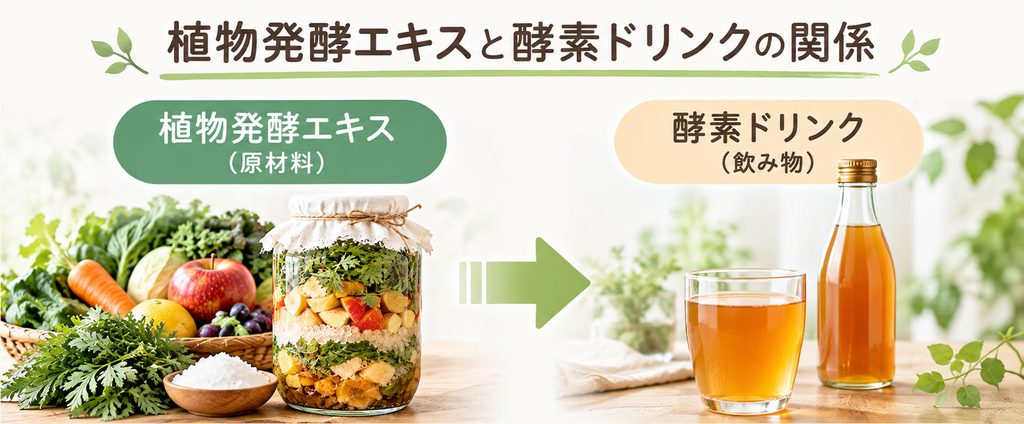 植物発酵エキスとは?酵素ドリンクとの関係と、ラベルで確認したいこと 3 酵素のちから 植物発酵エキス(原材料)と酵素ドリンク(飲み物)の関係